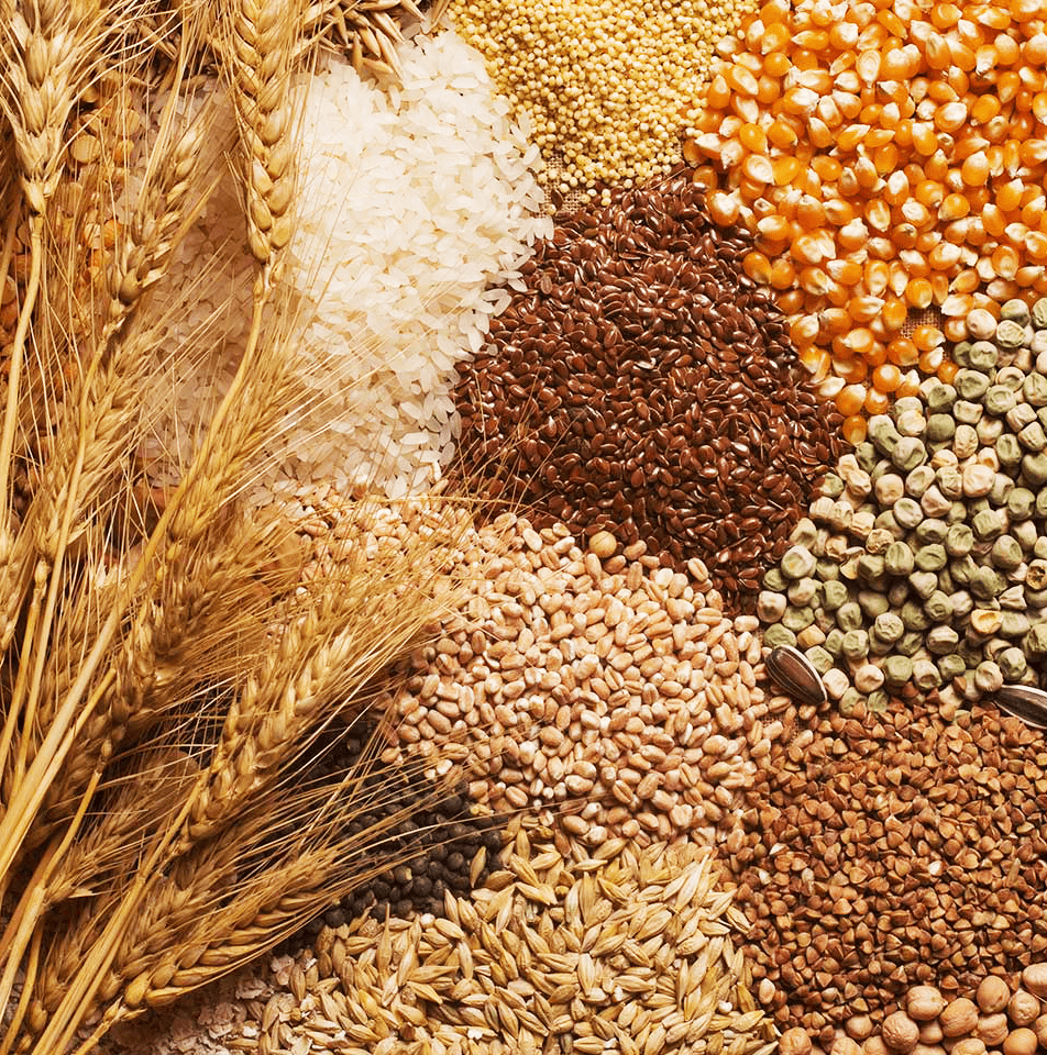  Grains 